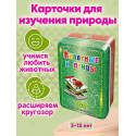 Животные и птицы 3-12 лет (подарочное издание) набор карточек для детей в дорогу обучающие и развивающие карточки