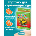 Овощи и фрукты 3-12 лет набор карточек для детей в дорогу  обучающие и развивающие карточки